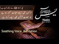 Surah yaseen full  yasin  beautiful recitation     hooria marjan islamic channel