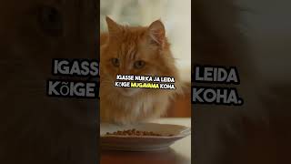 Ahjukinnas Vs K Kes Võidab?