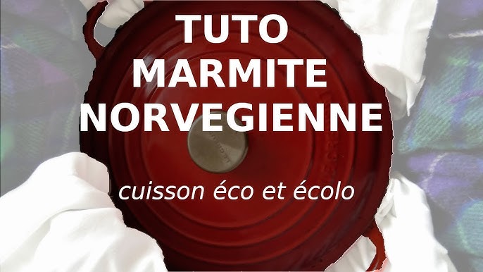 Marmite norvégienne : cuisinez un bœuf bourguignon dans du carton