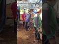 Proses penarikan mesin 8 silinder #shorts