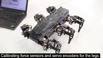 Roboscoop: Hexapod Gaits