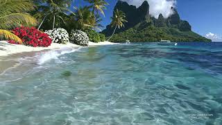 Stunning 🌴 Tropical Ocean Waves & Beach Sounds | Sleep Focus 12H 4K ✨