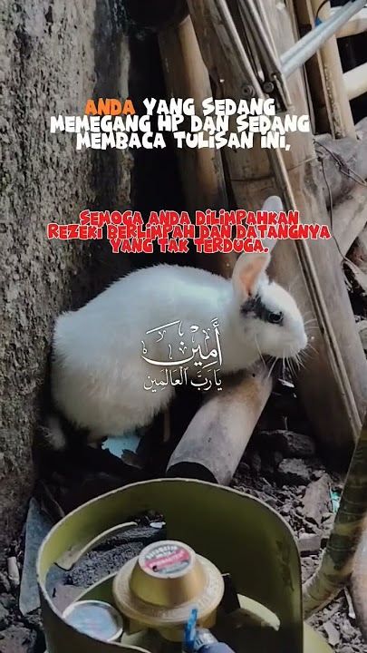Semoga rizkinya selalu di limpahkan#shortsvideo#katakatabijak#katakatamotivasi#stories