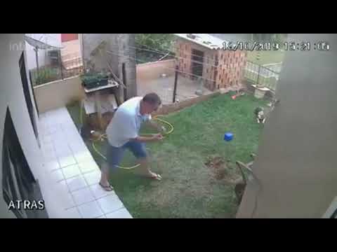 Hombre genera explosión en su patio al intentar eliminar una plaga de cucarachas