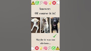 Test your intuition, trust your gut! #intuition #intuitiontest #personality #gutfeeling #quiz