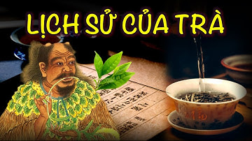 Con Người Đã Phát Hiện Ra Thức Uống Nổi Tiếng Nhất Thế Giới Như Thế Nào |Ms. Ruby