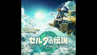 ブレワイやらずにティアキンやってるヤツ俺以外にいんの？【ゼルダの伝説 ティアーズ オブ ザ キングダム 】その４