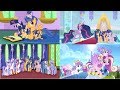 Mlp the twilight sparkle family tribute