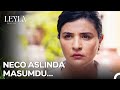 Nur Vedat Д N Katil OlduДџunu Г Дџrendi Leyla Hayat AЕџk Adalet Nur Vedat Д N Katil OlduДџunu Г Дџrendi Leyla Hayat AЕџk Adalet