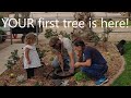 Saving miller plants your first fruit tree