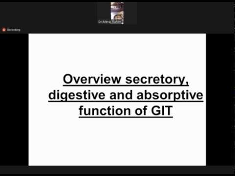 Functions of GIT | Overview | Physiology - YouTube