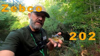 Catching Blue Gill with the Ol' Zebco 202