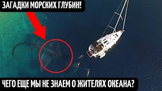 Монстры Морских Глубин! Неизвестные Жители Океана! Тайны Большой Воды! Реальные Кадры Существ!