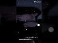 اغنية تركية لقد قتلتك يا زهرتي