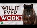 Will wolves ever return to the uk