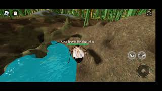 being a alate in Roblox ant life beta in mobile testing sorry for the low quality