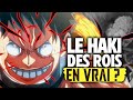 Explication du haki des rois a existe vraiment