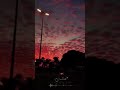 تصاميم شيلات قصيره افنيت عمري يالكوكب الدري ميزك السط تصميم ستوريات انستقرام قصيرة بدون حقوق تصاميم شيلات قصيره افنيت عمري يالكوكب الدري ميزك السط تصميم ستوريات انستقرام قصيرة بدون حقوق