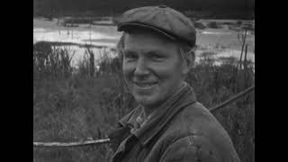 видео: В деревне Старое  1964 год, 1968 год картинка: В деревне Старое  1964 год, 1968 год