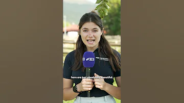 Follow Us Around At The Jiva Hill FEI Dressage European Championship Crozet 