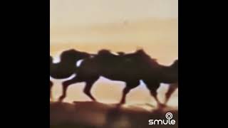 КАРАВАНЩИК👳🏜️🐪🐫🐪🐫🦎🏜️#smule #кавер #петросов