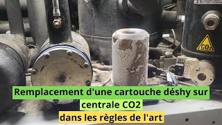 Remplacement d'une cartouche déshy sur centrale CO2 dans les règles de l'art by Féty THE Frigoriste 2,717 views 1 year ago 30 minutes