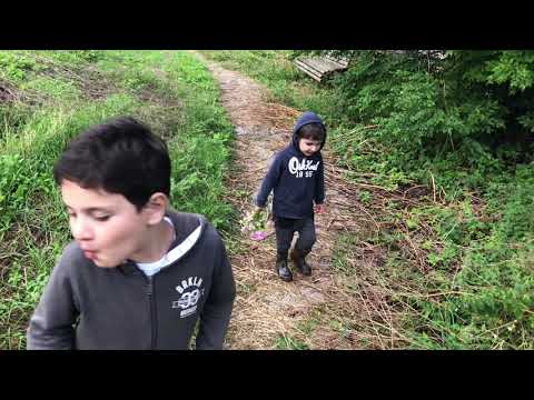 Sofeli  nikortsminda სოფელი ნიკორწმინდა