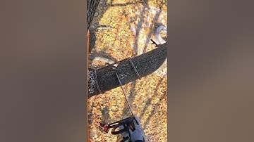 Tip Tie Butt Hitch Rigging Method #treelife #arborist #notchemandwatchem #allday