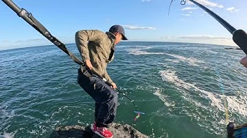 câu cá ở nhật bản phút mốt là lên bờ ngay