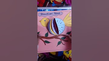 Fraction Bird#fraction#maths project