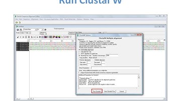Sequence Alignment and Primer Probe designing using BioEdit
