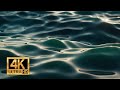 [FREE DOWNLOAD] Ocean Water Motion Slow Motion Movement with Sunset Reflection | 4K ULTRA HD