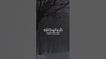 تلاوة خاشعة من سورة المعارج -انا الإنسان خلق هلوعا