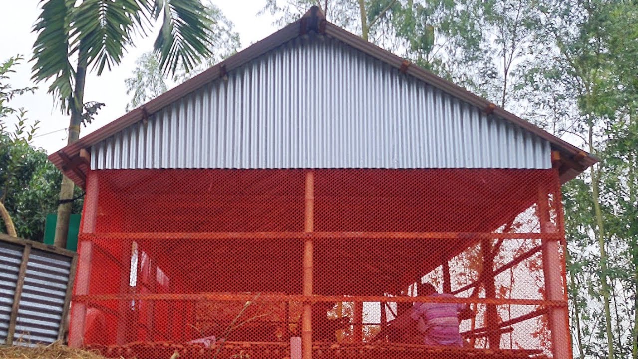 ৫০০ মুরগির ঘর তৈরী করতে কত টাকা খরচ হয় বিস্তারিত জেনে নিন।