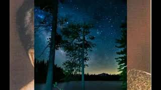 Ei raat tomar Amar. Hemanta Mukhopadhyay. Film - Deep jele Jai. Hawaiian guitar song. Instruments.