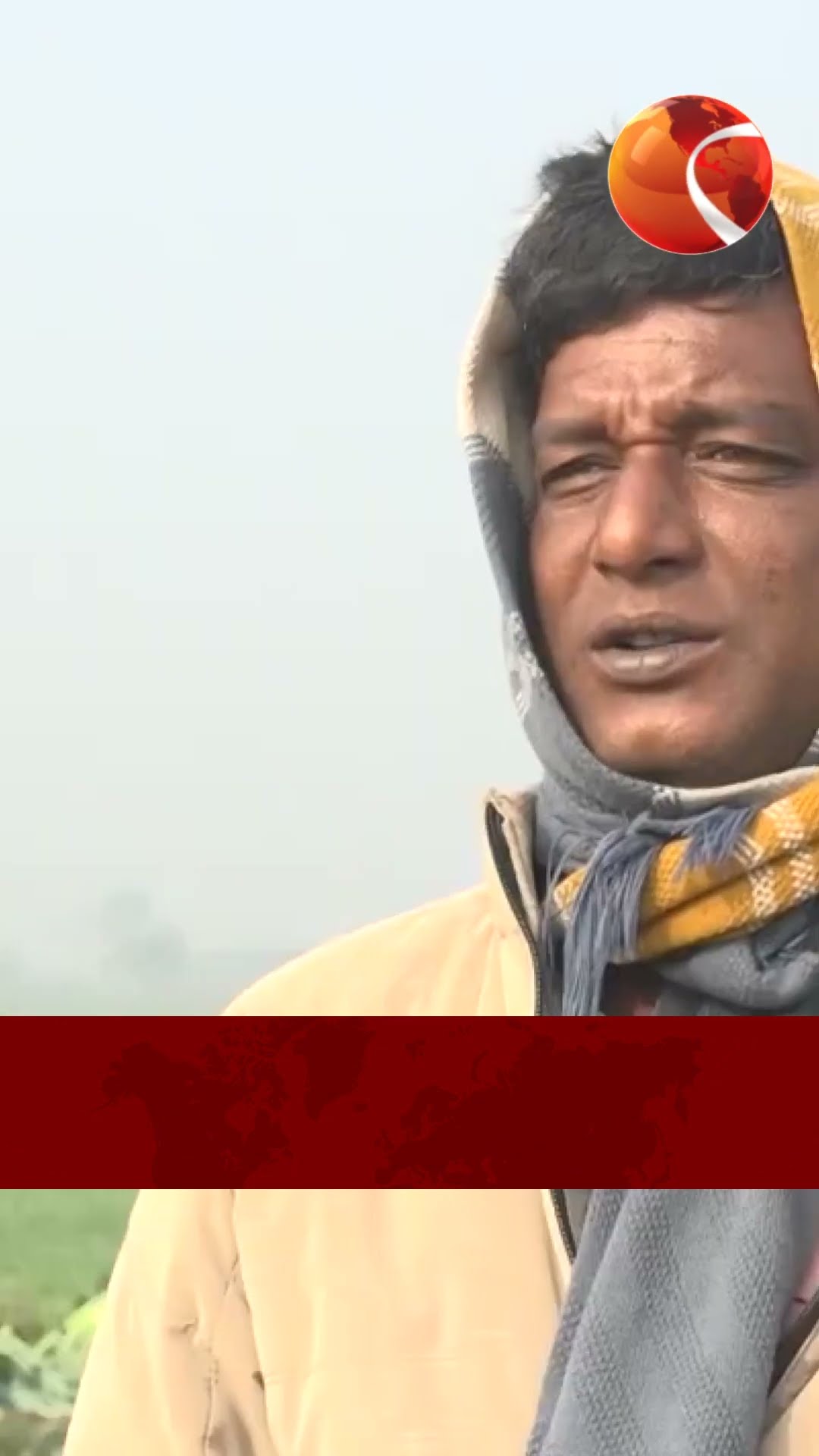 ২ টাকা কেজি দরেও বিক্রি হচ্ছে না ফুলকপি, সবজি নিয়ে কৃষকের কান্না #channel24 #news #channel24_news