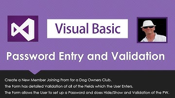 Visual Basic Password Entry and Validation with Show Hide Password