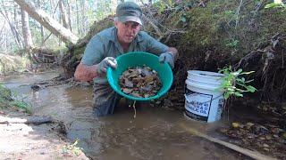 Panning And Sluicing For Gold In A Small Stream