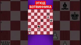 💥МАКСИМАЛЬНАЯ ТЕСНОТА #chesspuzzle #chess #шахматныезадачи #шахматы