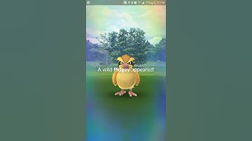 Pokemon Go - Finally level 40!