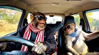 Dhaan Ki Kheti | Kishan Vlogs video | Monkey Vlog 2025 | Subhas Axom AI