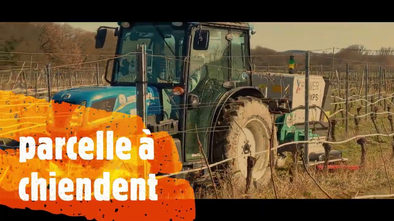 duravitisol désherbage électrique