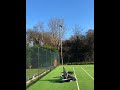 Video Image