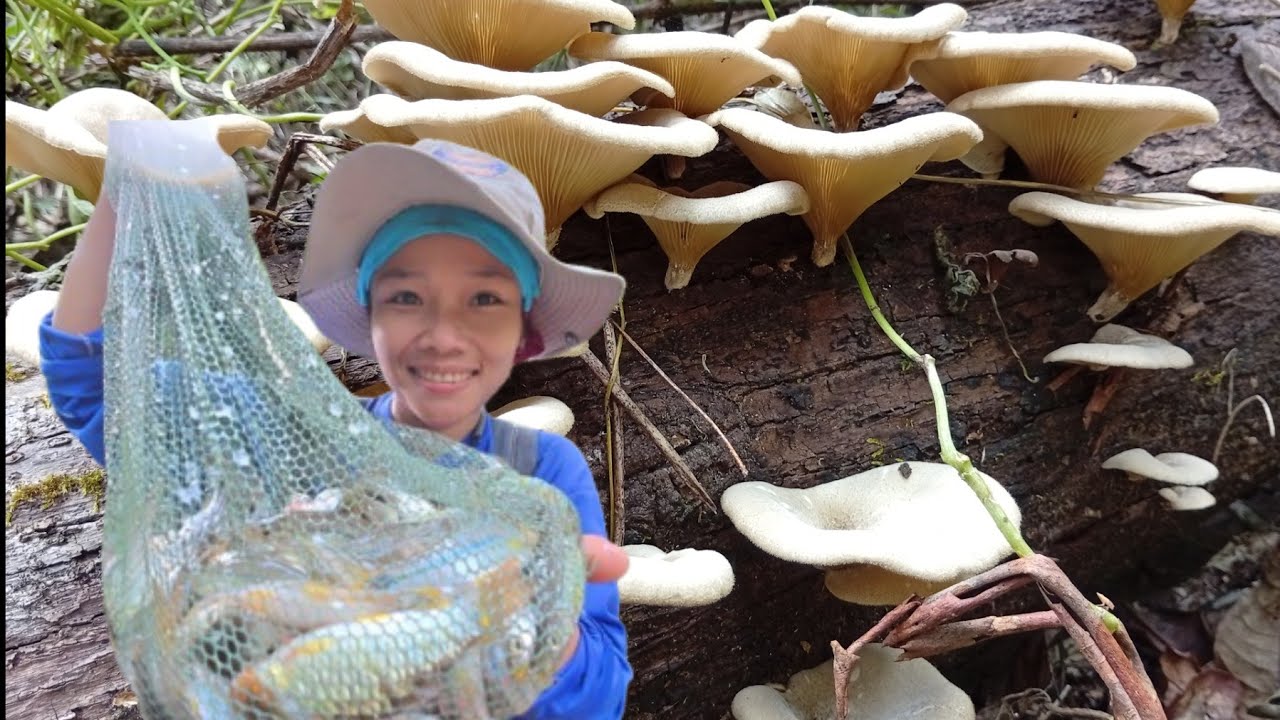 เข้าป่าวันนี้หมานทั้งปลาทั้งเห็ดครับ