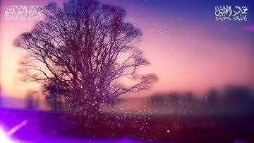 اللهم اجعل القرآن ربيع قلوبنا ؛ تلاوة خاشعة بصوت القارئ الشيخ خالد الجليل