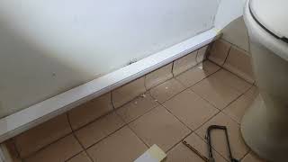 cheap,quick way to hide plumbing pipes