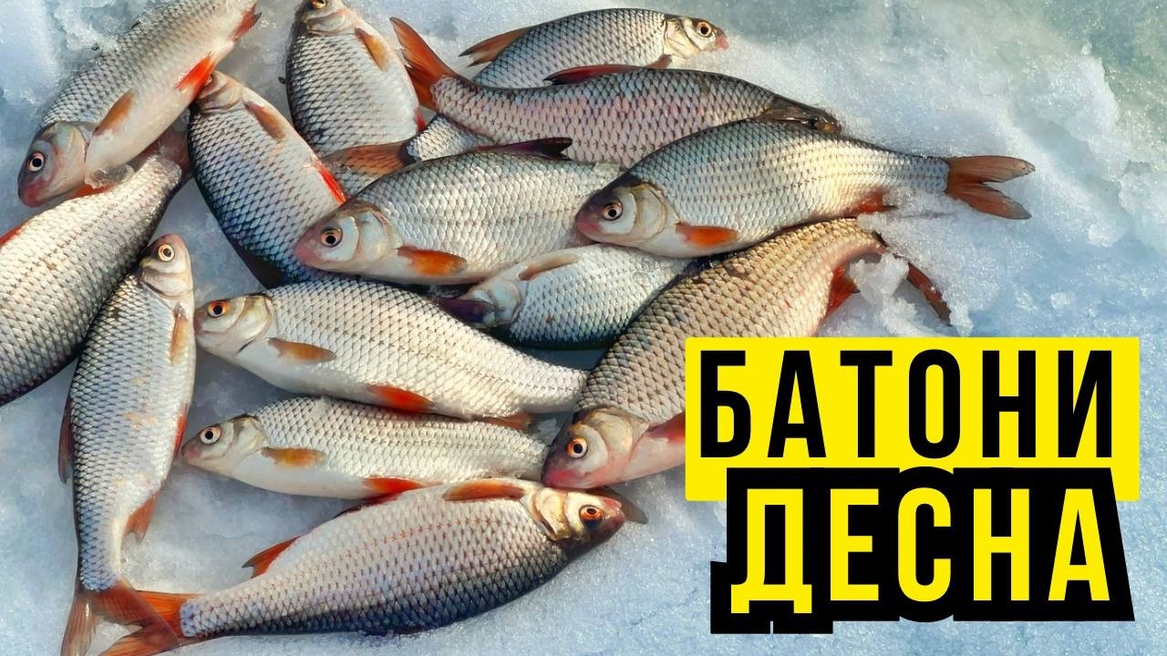 ХІД ПЛІТКИ ПІД КРИГОЮ 🎣 РИБАЛКА В ВІДЛИГУ НА ДЕСНІ ❄️ ТЕСТУЮ ОСНАСТКИ ЯКІ ПРИДУМАВ САМ 🐟