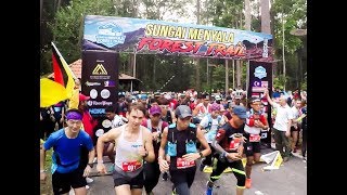 Sungai Menyala Forest Trail 2018
