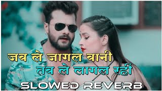 Jab le jagal bani tab le lagal Rahi 😜 lofi remix song 🎧(slowed reverb)#bhojpuri #khesari