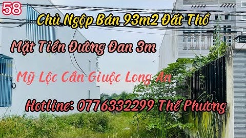 Bán Đất Cần Giuộc Long An 93m2 Đất Thổ Sổ Hồng Riêng Mặt Tiền Đường Đan 3m